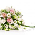 shutterstock_82386406