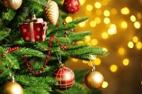 Christmas Tree Festival, 9th December 2023