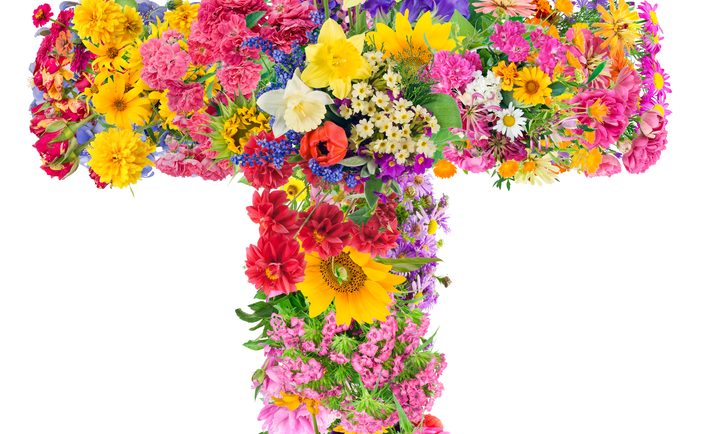 shutterstock_210347377